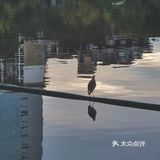深圳游玩｜来荔枝公园打卡深圳超美水天辉映的建筑风光