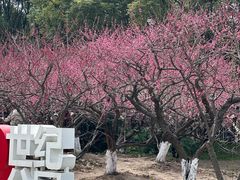 -潮府馆·非遗潮州菜·世纪公园(新国际博览中心店)