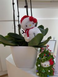 -JUVA欧华医美连锁