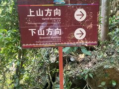 -七仙岭温泉国家森林公园