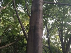 -攀枝花公园