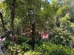 -莫干山风景区