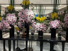 -南海渔村(珠江新城店)