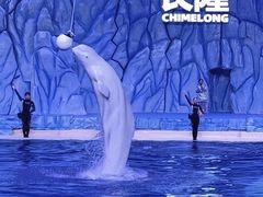 -珠海长隆海洋王国