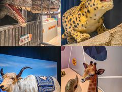 -正佳自然科学博物馆