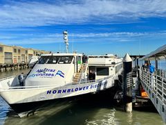 -阿尔卡特拉斯岛