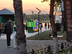 -大兴滨河森林公园