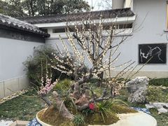 -无锡梅园公园