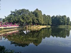 -阿一猪红汤(东风西路店)