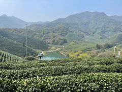 -龙坞茶村