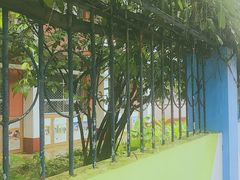 -四川大学(望江校区)