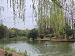 -新江湾城公园