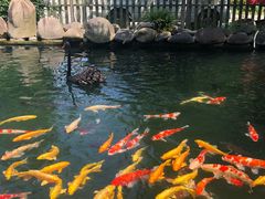 -湖鲜楼