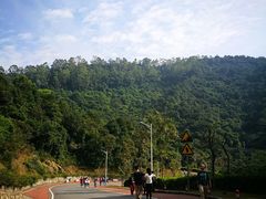 -火炉山森林公园