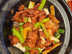 -新雅粤菜馆(南京东路店)