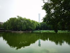 -团结湖公园