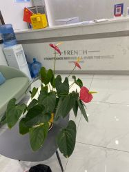 -蕾特恩专业祛痘国际连锁