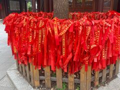 -亭林园-华藏寺