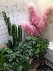 -秘阁MIGO·美甲美睫