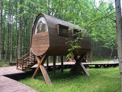 -黄海国家森林公园