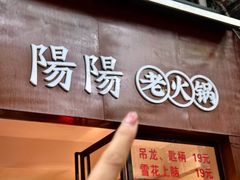 -阳阳老火锅(小南门店)