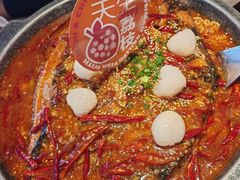 -南锣肥猫·麻辣烤鱼·15年现烤现卖(通州领展店)