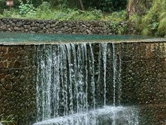 -大奇山国家森林公园