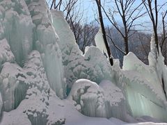 -陕西省红河谷森林公园