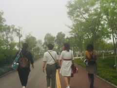 -天津东丽湖风景区