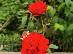 -泰安地下龙宫景区