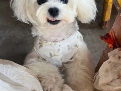 -贝康宠物医院·犬猫全科·小动物特色诊疗中心(东环路店)