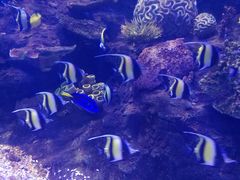 -左海海底世界