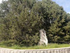 -北京十三陵国家森林公园蟒山景区