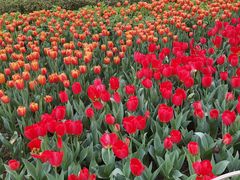 -玄武湖景区-情侣园游乐场