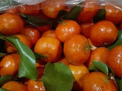 -豫京小凤水果超市(育才胡同店)