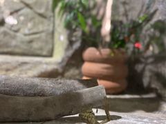 -青青世界