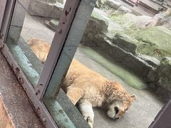 -宁波野生动物园