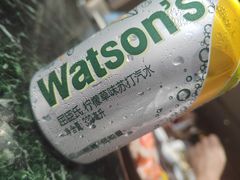 -白天鹅宾馆·流浮阁咖啡厅