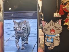 -正阳书局(西四南大街店)