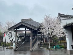 -鸣鹤古镇