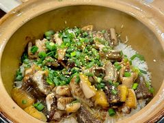 -红星光发煲仔饭(文海店)