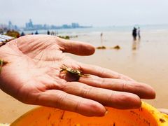 -青岛第三海水浴场