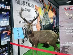 -都市枪神实弹射击俱乐部