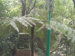 -赤水丹霞旅游区·佛光岩