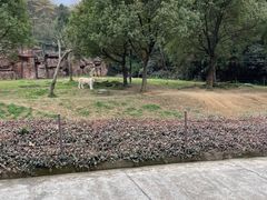 -杭州野生动物世界