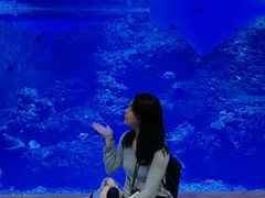 -华夏文旅海洋公园