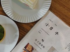 -猫里有甜