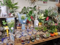 -缦云里花园餐厅