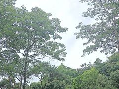 -玉树公园