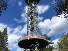 -五营红松林海景区